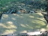 image of grave number 631723